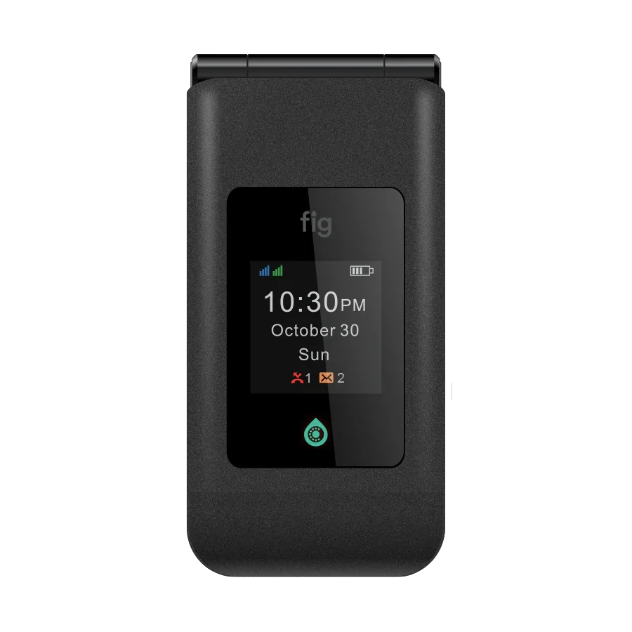 Fig_Mini_II.webp
