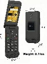 CatS22-Web.webp